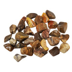 1 lb Natural Polished Petrified Wood Gemstone Tumbled Stones Healing Crystals Bulk