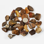 1 lb Natural Polished Petrified Wood Gemstone Tumbled Stones Healing Crystals Bulk