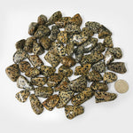 Natural Dalmatian Jasper Tumbled Stone Gemstones - 1 lb