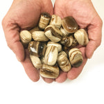 Natural Chocolate Calcite Tumbled Stone Gemstones - 1 lb