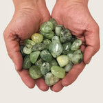 Natural Prehnite Tumbled Stone Gemstones - 1 lb