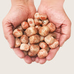 Natural Sunstone Tumbled Stone Gemstones - 1 lb