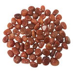 1 lb Natural Polished Fire Agate Gemstone Tumbled Stones Healing Crystals Bulk