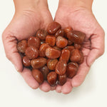 1 lb Natural Polished Fire Agate Gemstone Tumbled Stones Healing Crystals Bulk