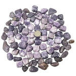 Natural Lepidolite Tumbled Stone Gemstones - 1 lb