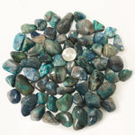 1 lb Natural Polished Chrysocolla Gemstone Tumbled Stones Healing Crystals Bulk