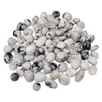 Natural Rainbow Moonstone Tumbled Stone Gemstones - 1 lb