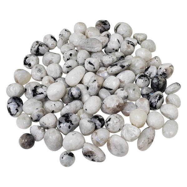 Natural Rainbow Moonstone Tumbled Stone Gemstones - 1 lb