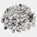 Natural Rainbow Moonstone Tumbled Stone Gemstones - 1 lb
