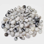 Natural Rainbow Moonstone Tumbled Stone Gemstones - 1 lb