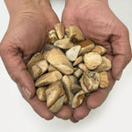 Natural Picture Jasper Tumbled Stone Gemstones - 1 lb