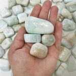 Natural Polished Caribbean Blue Calcite Tumbled Stone Gemstones 1 Lb
