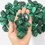 Natural Malachite Tumbled Stone Gemstones - 1 lb