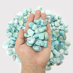 Natural Polished Larimar Tumbled Stone Gemstone 1 lb