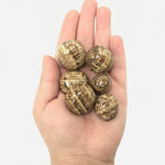 Natural Polished Aragonite Tumbled Stone Gemstones 1 Lb