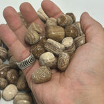 Natural Banded Chocolate Calcite Tumbled Stone Gemstones - 1 lb