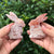 Natural Agate Rabbits Crystal Gemstone Wholesale - Gem Avenue