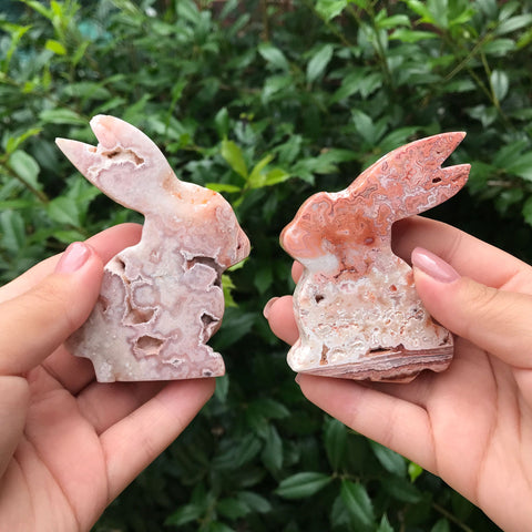 Natural Agate Rabbits Crystal Gemstone 3.3 Oz